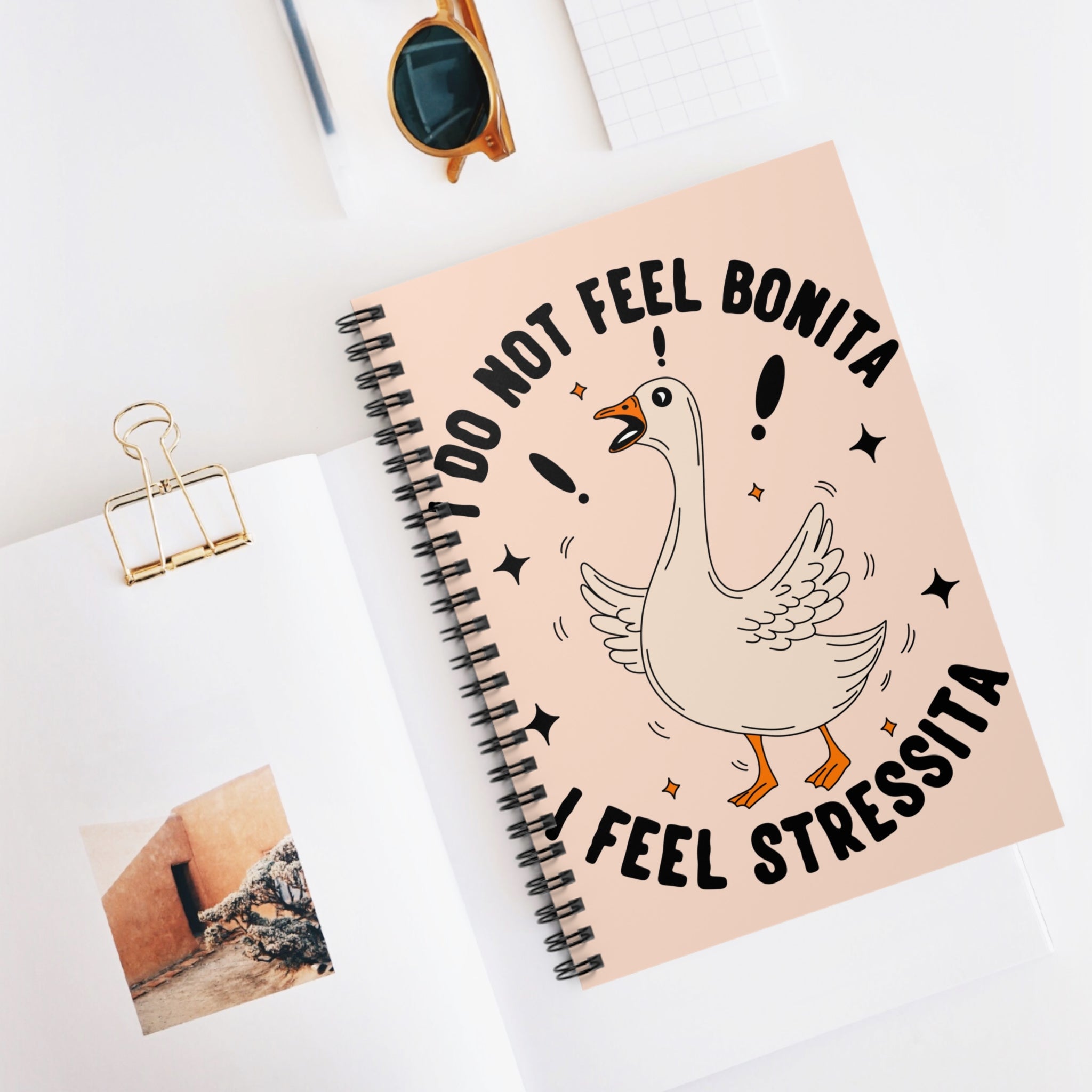 I Do Not Feel Bonita I Feel Stressita A5 Lined Notebook