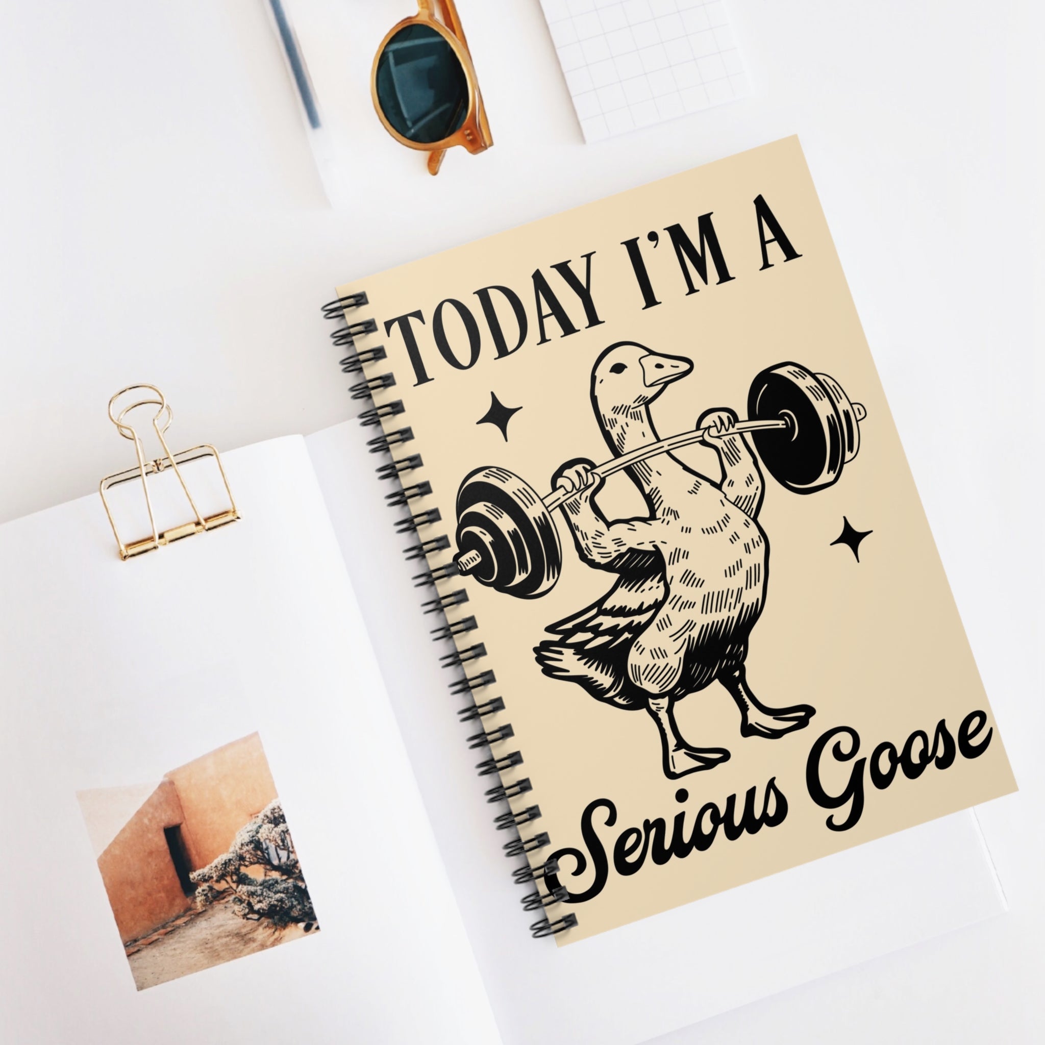 Today I’m A Serious Goose A5 Lined Notebook