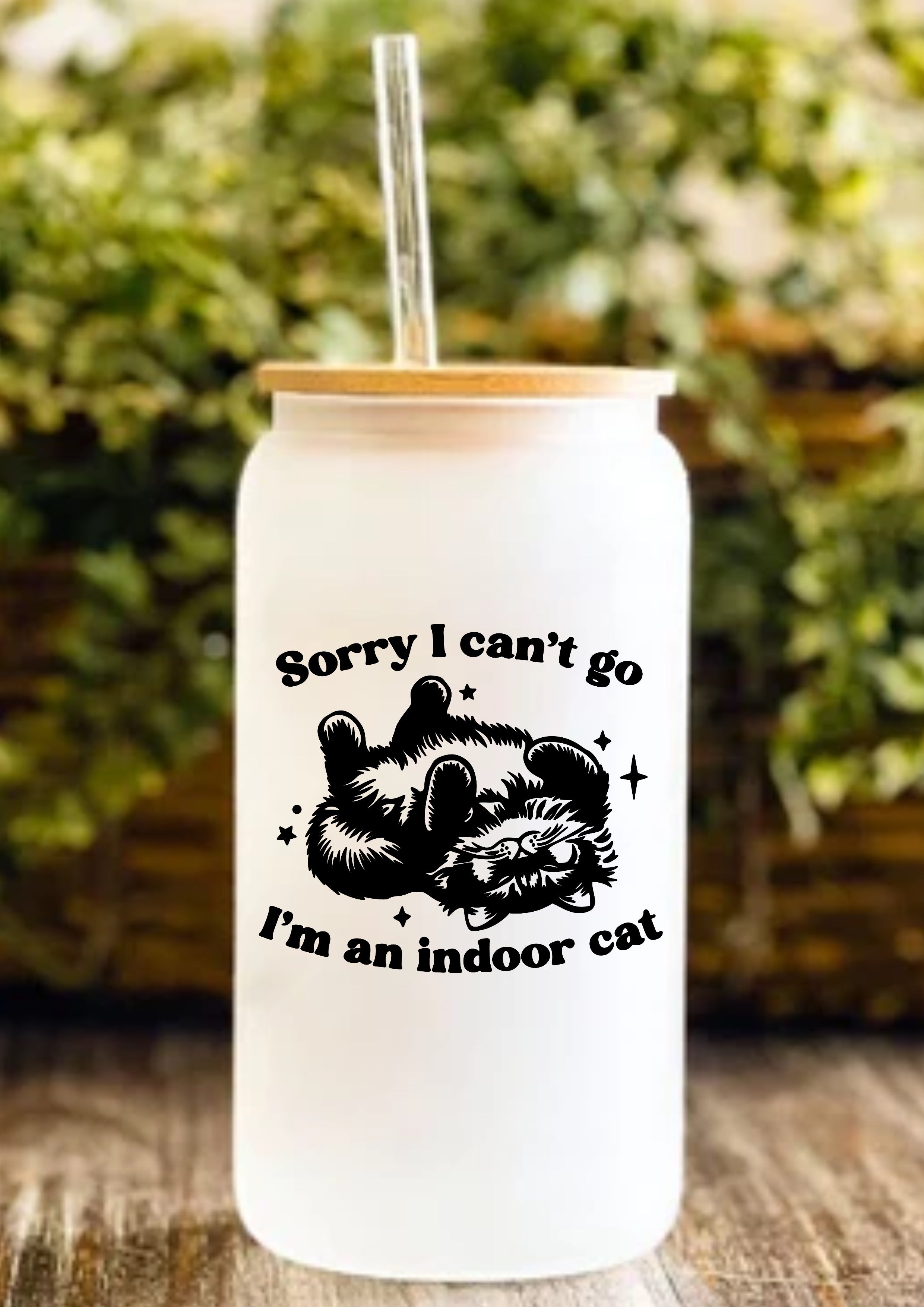 Sorry I Can’t Go I’m An Indoor Cat 12oz Frosted Glass Tumbler