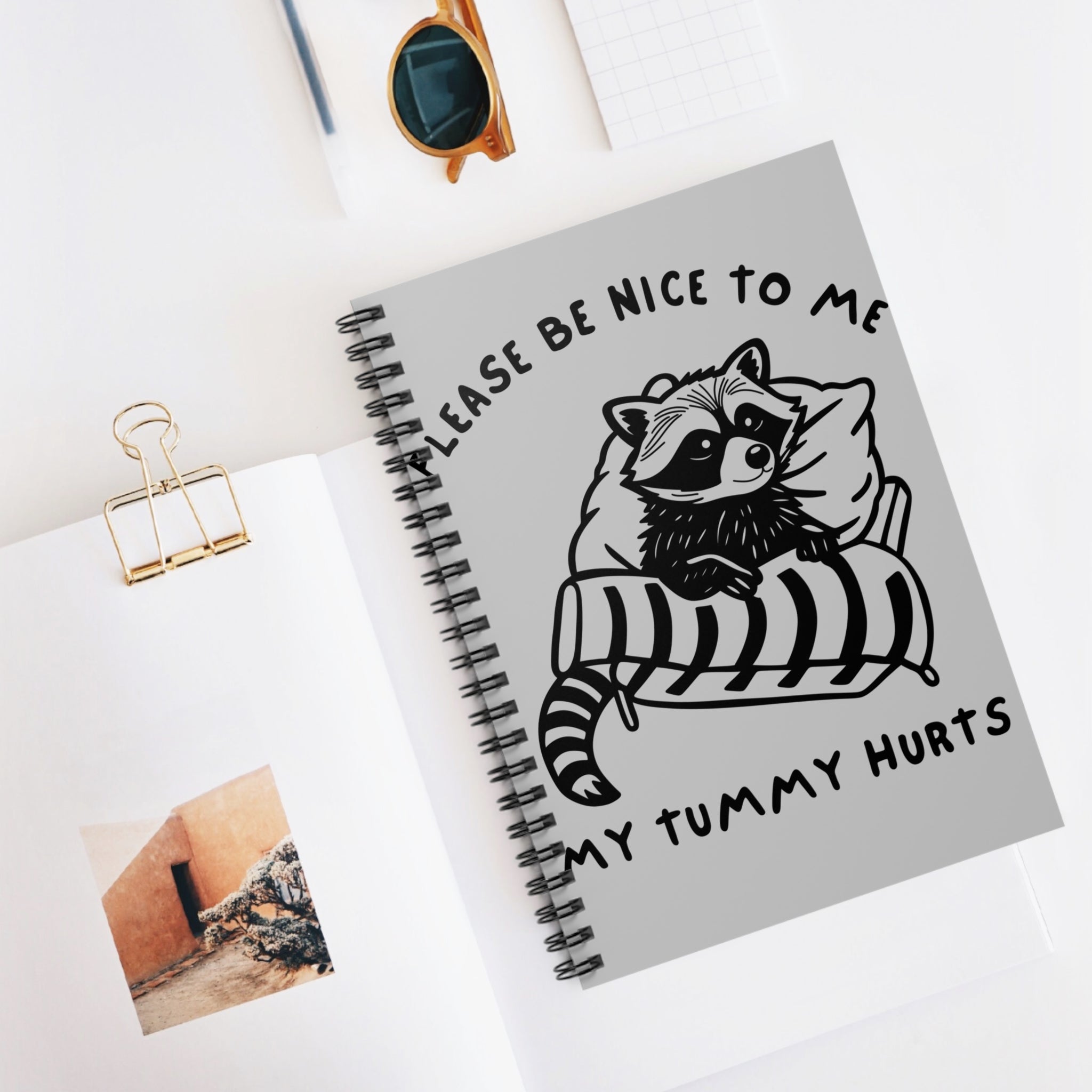 Please Be Nice To Me My Tummy Hurts A5 Lined Notebook